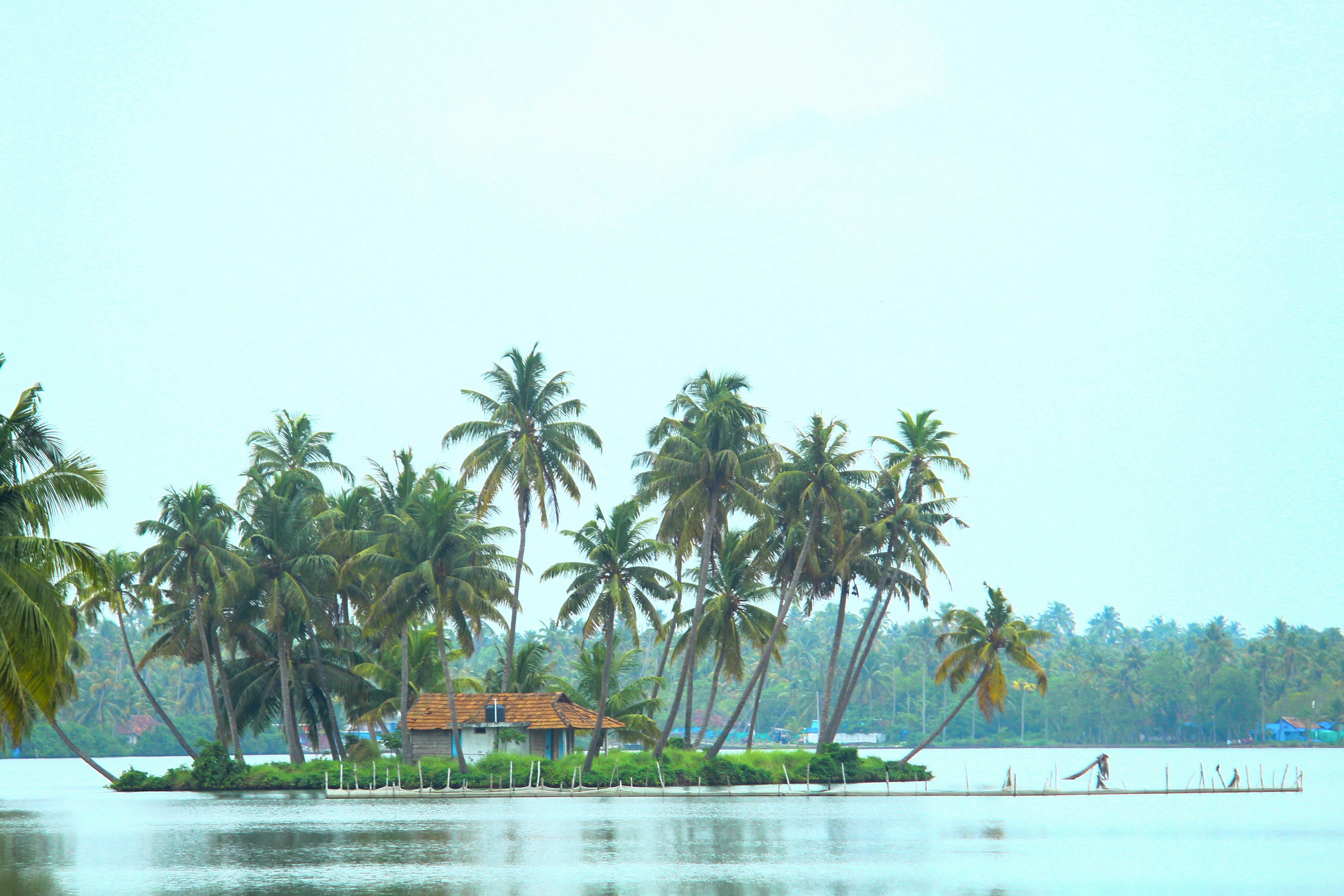 Explore Authentic Village Life in Alleppey